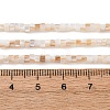 Natural Freshwater Shell Beads Strands X-SHEL-K006-72A-4