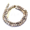 Natural Conch Fossil Beads Strands G-K310-B21-2