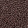 6/0 Glass Seed Beads SEED-L011-08A-08-3