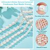  4 Strands 4 Styles Natural Cultured Freshwater Pearl Beads Strands PEAR-NB0001-87-4