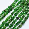 Natural Green Diopside Beads Strands G-K203-53-1