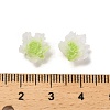 Luminous Resin Decoden Cabochons LS-RESI-K036-06F-02-4