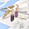 Copper Wire Wrapped Natural Gemstone Dangle Earrings for Women EJEW-JE04625-4