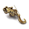 Tibetan Style Alloy Rhinestone Brooch JEWB-M035-17AG-2