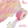 1 Bag Gradient Color Organza Ribbon OHAR-CY0001-01A-2