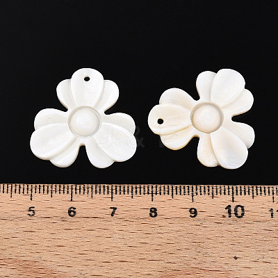 Natural Freshwater Shell Carved Pendants SHEL-N036-13-1
