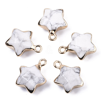 Natural Howlite Pendants G-N326-36L-1