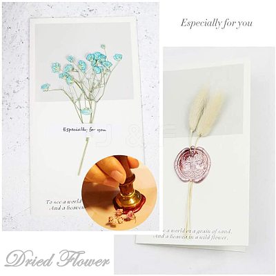 DIY Scrapbook AJEW-WH0100-068-1