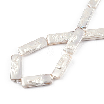Plating Natural Freshwater Shell Beads Strands SHEL-N026-231-1