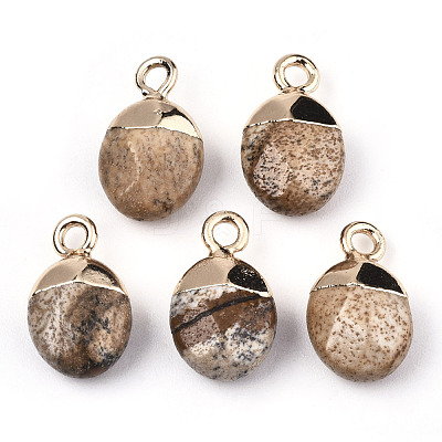 Natural Picture Jasper Charms G-N326-58D-1