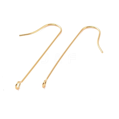 316 Surgical Stainless Steel Earring Hooks X-STAS-E027-01A-G-1