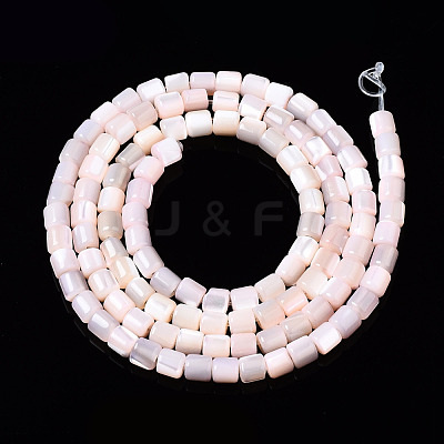 Natural Trochid Shell/Trochus Shell Bead Strands SSHEL-N034-77-C05-1