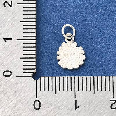 925 Sterling Silver Charms STER-Q003-01A-S-1
