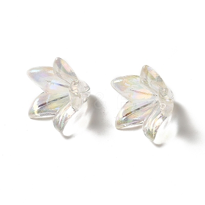 Transparent Acrylic Bead Caps OACR-H016-05-1