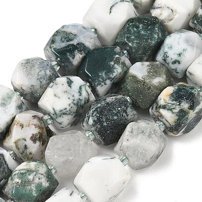 Natural Tree Agate Beads Strands GG-CBAF8A8-A04-01-1