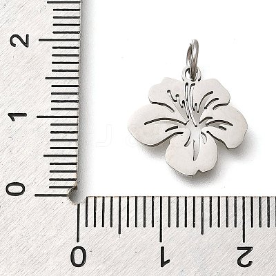 304 Stainless Steel Charms STAS-Z119-26P-1