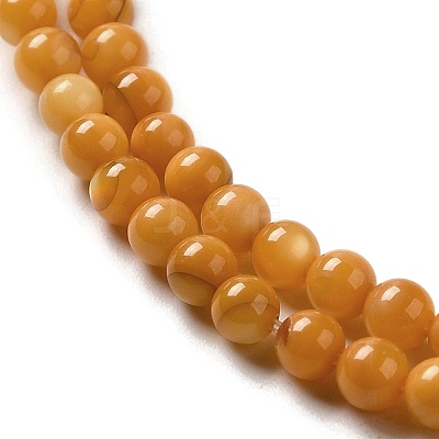 Natural Freshwater Shell Beads Strands SHEL-H003-03E-1