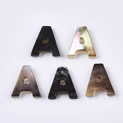 Natural Black Lip Shell Beads SSHEL-S265-001-M-1