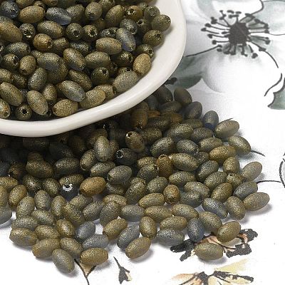 Transparent Colours Glass Seed Beads SEED-F006-03A-05-1