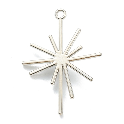 Alloy Pendants X-PALLOY-E580-05P-1