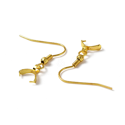 304 Stainless Steel Earring Hooks STAS-WH0035-14G-1