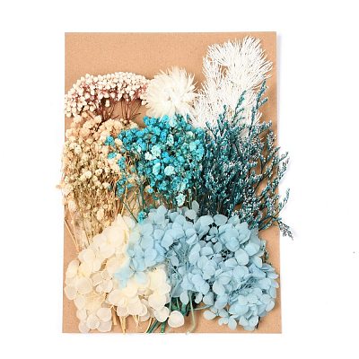 Dried Flower DIY-B018-05-1