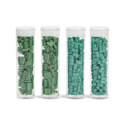 520Pcs 2 Style 2-Hole Glass Seed Beads SEED-NB0001-72B-1