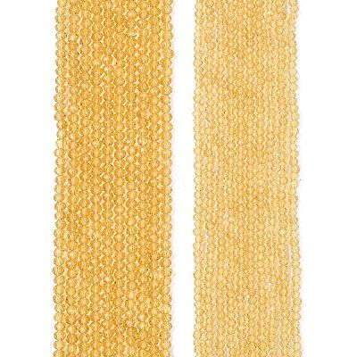 Glass Beads Strands EGLA-A044-T2mm-D03-1