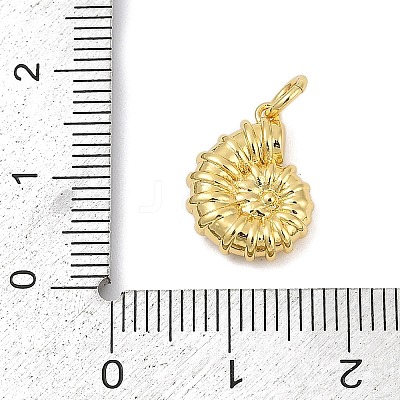 Brass Charms KK-U058-56G-1