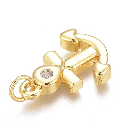 Brass Micro Pave Clear Cubic Zirconia Charms ZIRC-O035-18G-1