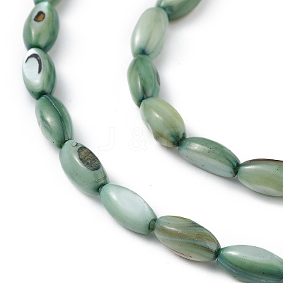 Natural Freshwater Shell Dyed Beads Strands SHEL-M018-13-11-1