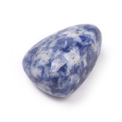 Natural Blue Spot Jasper Beads G-K302-A10-1