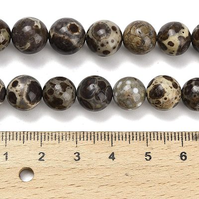 Natural Astroite Jasper Beads Strands G-F814-A01-10mm-1