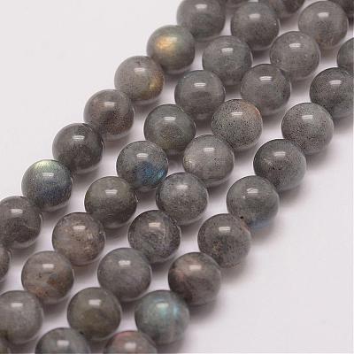 Natural Labradorite Bead Strands G-P259-03-8mm-1