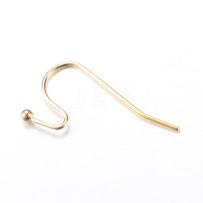 Iron Earring Hooks IFIN-T001-05G-NF-1