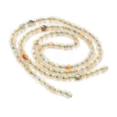 Natural Agate Beads Strands G-H302-A04-04-1