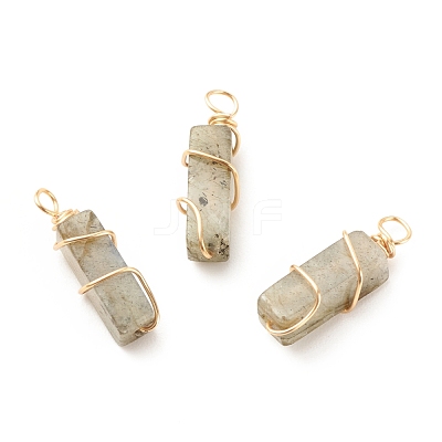 Natural Labradorite Pendants PALLOY-JF01581-01-1