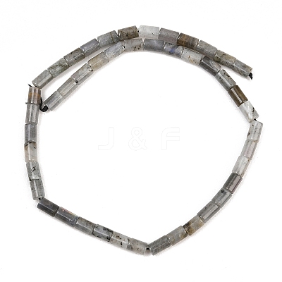 Natural Labradorite Beads Strands G-F832-B10-01-1
