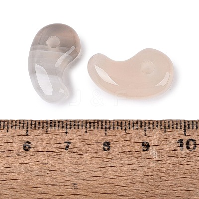 Natural Agate Pendants G-S294-07B-03-1