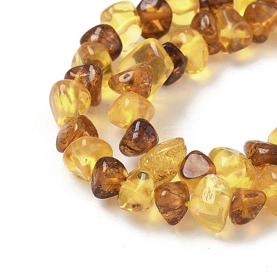 Natural Amber Beads Strands G-L095-E01-03-1