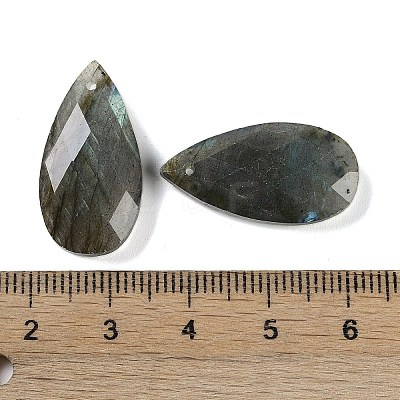 Natural Labradorite Pendants G-C140-05J-1