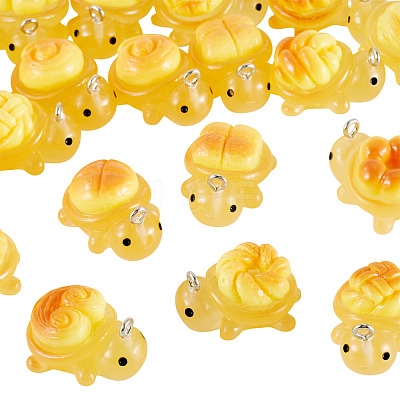 20Pcs 10 Styles Transparent Resin Bread-shaped Turtle Pendants RESI-TA0005-24-1