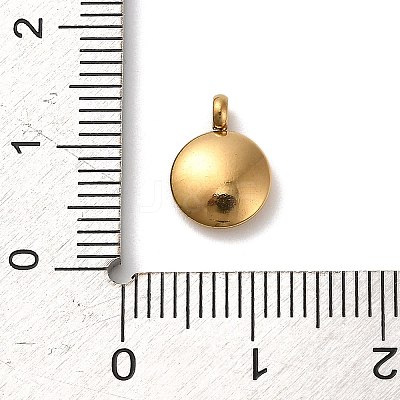 304 Stainless Steel Black Enamel Charms STAS-R009-02G-06-1