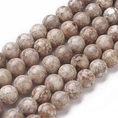 Natural Fossil Coral Beads Strands G-F563-02-10mm-1