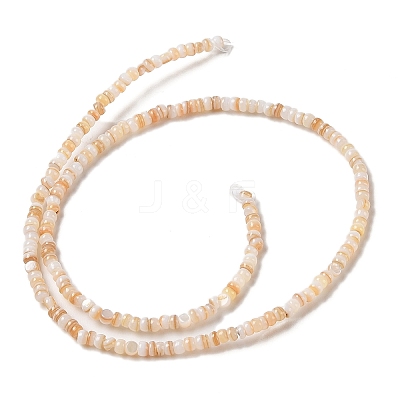 Natural Freshwater Shell Beads Strands SHEL-P017-01B-10-1