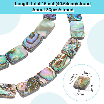1 Strand Natural Abalone Shell/Paua Shell Beads Strands BSHE-BC0001-12-1