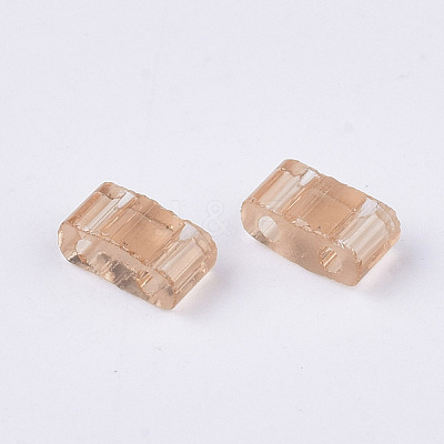 2-Hole Glass Seed Beads SEED-T003-01B-05-1