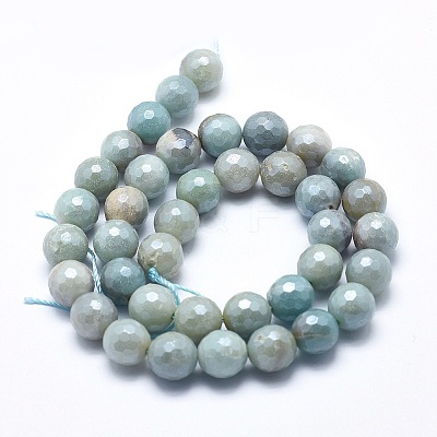 Natural Amazonite Beads Strands G-O164-02-8mm-1