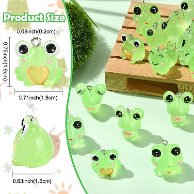 24Pcs 6 Styles Luminous Frog Resin Pendants RESI-YW0006-19-1