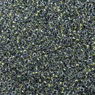 MIYUKI Round Rocailles Beads SEED-X0055-RR3201-1